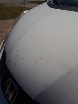 Greasy fingerprints on my hood. Will be going to the car wash soon!