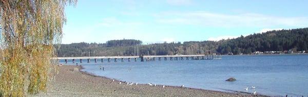 Allyn Dock from our beach