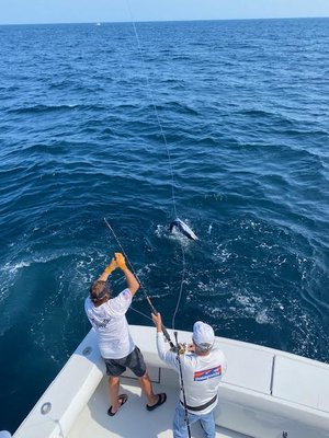 Over Under Sportfishing