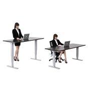 Sit Stand Electric Tables