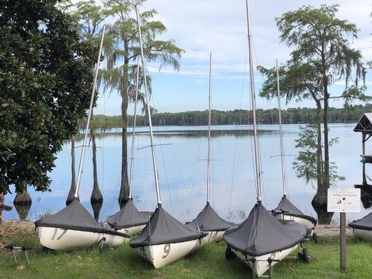 The Rez is one of my favorite FSU spots. Sailing lessons anyone?