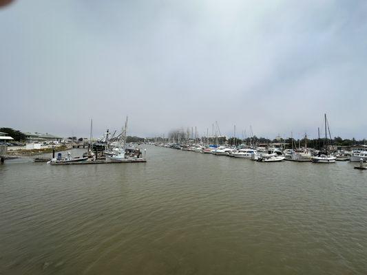 The Harbor at Moss Landing. The Beticia is just visible to the right.