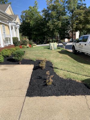 Upgraded dyed shredded black to beautify the landscape.