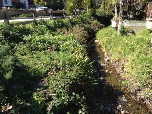 Nice little creek on San Pablo