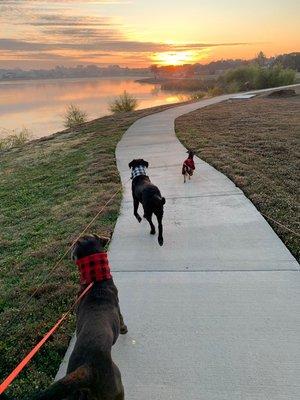 Looking for the perfect subdivision to walk the dogs? We can help!