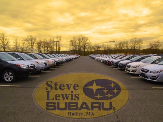 Steve Lewis Subaru