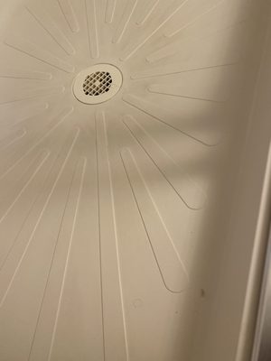 hair in drain in shower