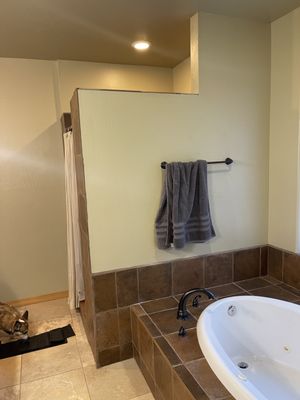 Shower Prior to Modification