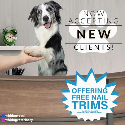 Whether it's a new pet, you've just moved or you're looking for a fresh start with a new veterinarian consider joining our family!