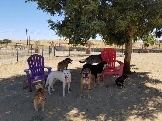 Break time for the gang.