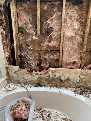 Realtor covered up mold. She took property off MLS, removed moldy furniture, painted and relisted for sale. This is illegal in Florida.