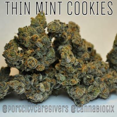 Thin Mint Cookies by Cannabiotix. SF High Times Cannabis Cup Winner.