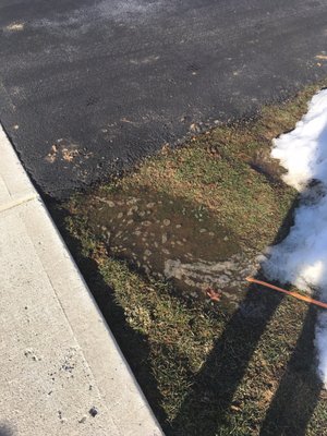 They won't plow driveways if a vehicle is parked in it but they will come into your driveway to place salt and dump snow in your yard.