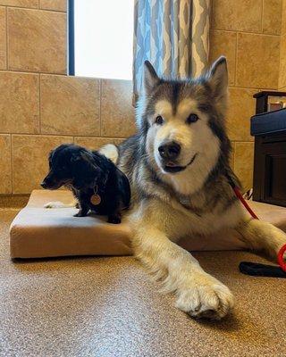 Kessler and her little brother waiting for Dr. Peckens!