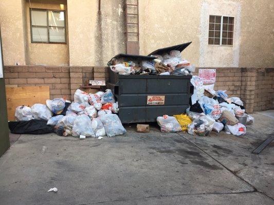 26 tenants, 2 weeks no show, constant promises to pick up trash & still no shows. Unprofessional