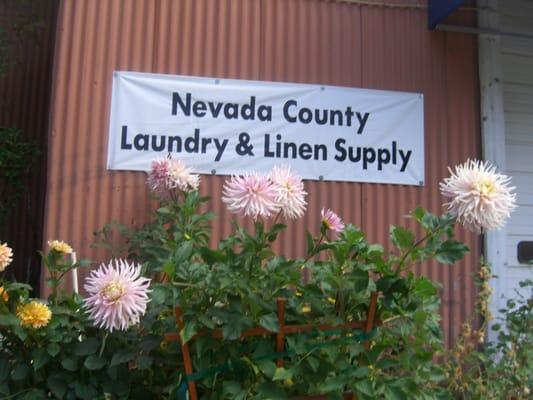 Nevada County Laundry & Linen Supply