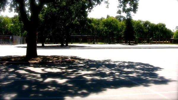 View of the Gunn High School campus from the parking lot.