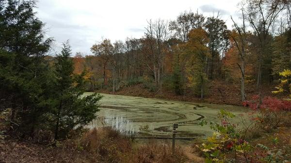 Central Kentucky Wildlife Refuge