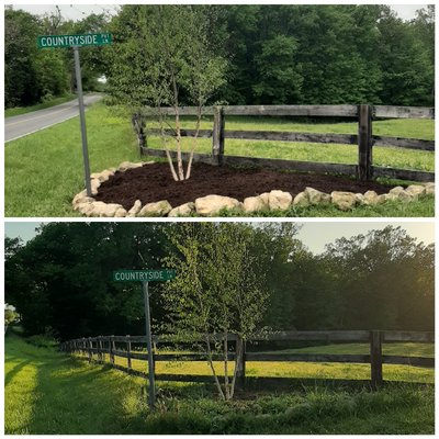 Dressed up a driveway entrance with a beautiful birch tree, rock boarder, finished with mulch for a clean look