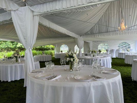 Draping package Fiesta Rentals