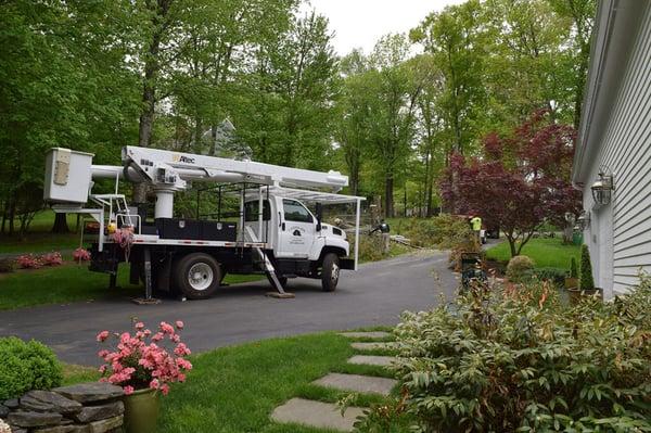 Landmark Landscaping & Tree Service