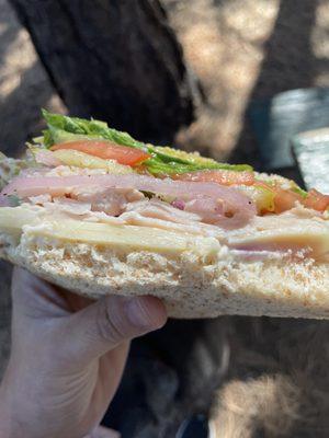 Turkey sandwich on slice wheat