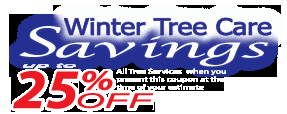 Save up to 25% on all tree services