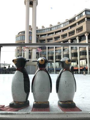 These penguins are more than just cute, they are essential in helping the wee ones make it around the ice.