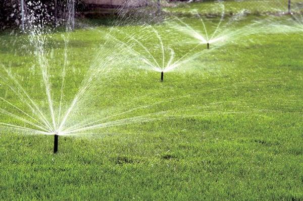 Lawn Sprinklers in Keller TX was built by Circle D Industries. This photograph was provided by Dallas Deaver of Circle D Indu...