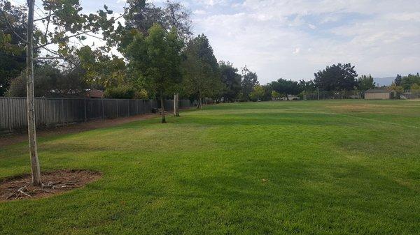 Nice grass, shade and park bench