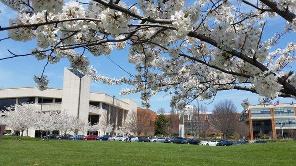 Exterior of GMU Center for the Arts in the spring.