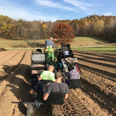 Tamarack Garlic Farm