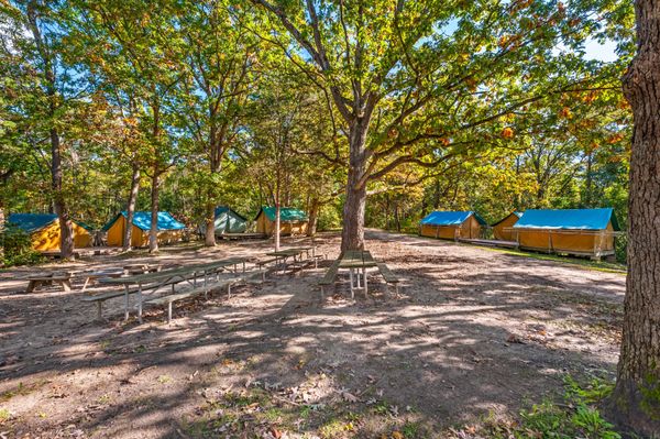 Citadel platform tents at Camp Juniper Knoll.