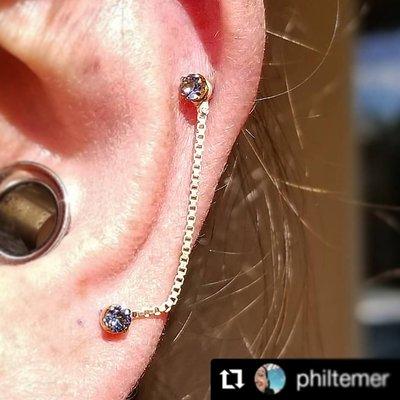 Professional Piercings By Phil Temer