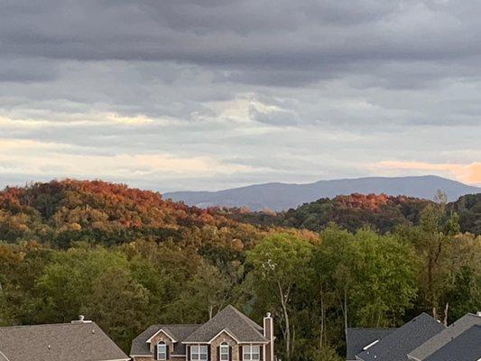 Leaves are starting to turn.