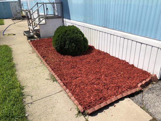 Fresh new mulch.