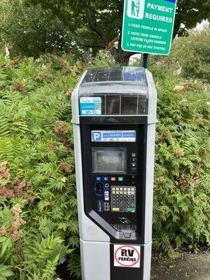 Parking kiosk throughout downtown