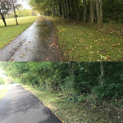 Before and after cleaning out this fence row