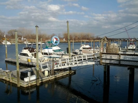 Nice vantage of the waterfront in Nyc. Feels more like the countryside.