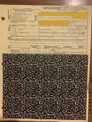 Police report from the break-in that Fader downplayed