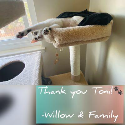 Willow, one of Toni's #1 Fans