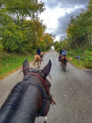 Example of a lesson trail ride