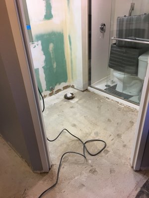 Bathroom demo job