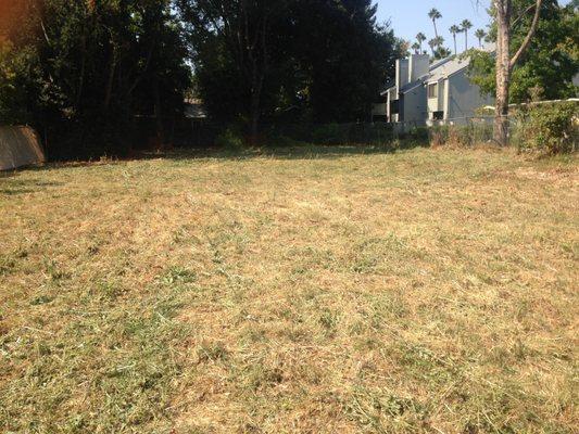 Land Clearance of Sacramento Valley