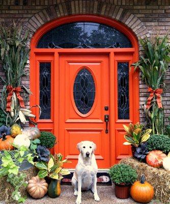 We provide exterior and interior doors of all kinds!