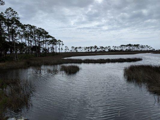 Ochlockonee River State Park