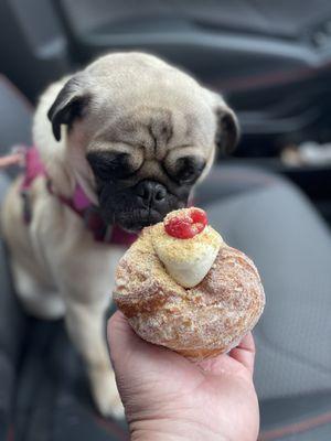 Raspberry cheesecake cruffin