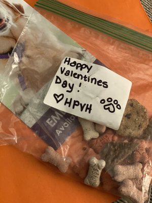 I love this office! They even gave Romee treats for Valentine's Day. I've known stokes for years now and he always comes through