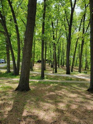 This is the pavilion area at lake Lansing Park North.