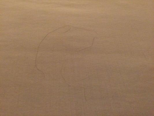 Part of the welcoming committee: Mysterious hair follicle on the bed